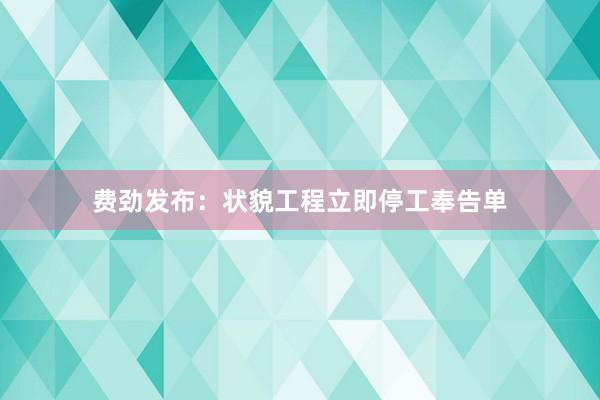 费劲发布：状貌工程立即停工奉告单